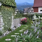 Szafran - Zakopane