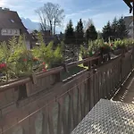 Szafran - *
